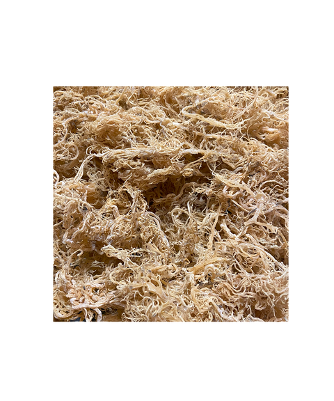 St. Lucia - Gold Sea Moss - Bulk